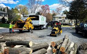 Seasonal Cleanup (Spring/Fall) in Belterra, TX